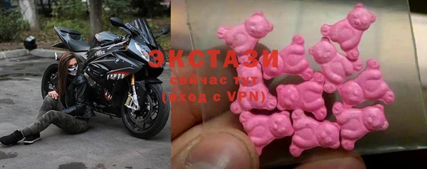 гашик Алексин