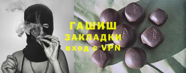 гашик Алексин