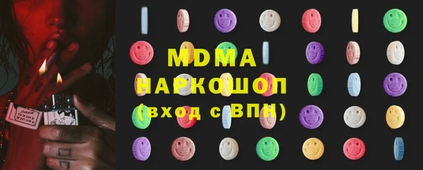 гашик Алексин