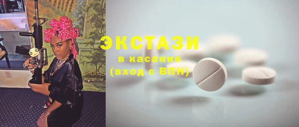 гашик Алексин