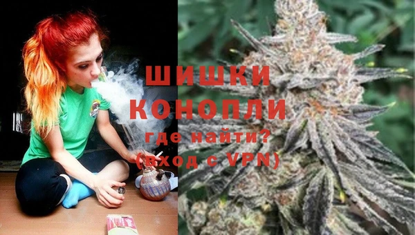 гашик Алексин