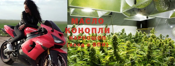 прущие грибы Алзамай