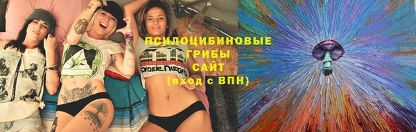 прущие грибы Алзамай