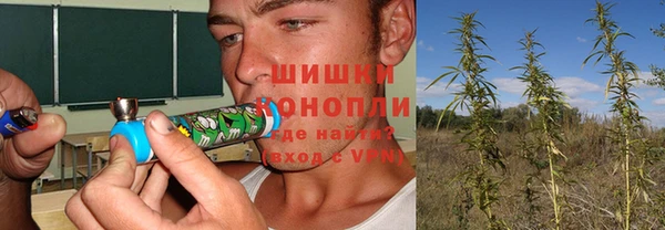прущий лед Инсар